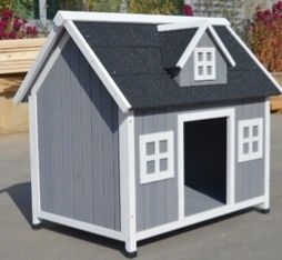 Cusca caini diverse modele