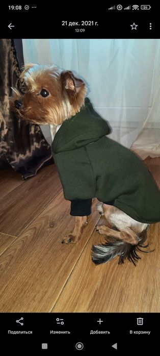 Ексклюзивна дрехи за малки кучета