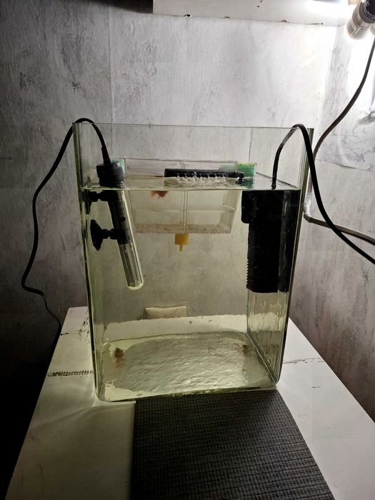 Продавам нагревател ,помпа иваничка за рибки