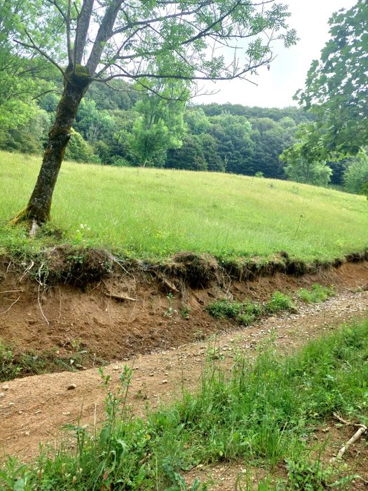 Izbucul  Cernei,Gorj