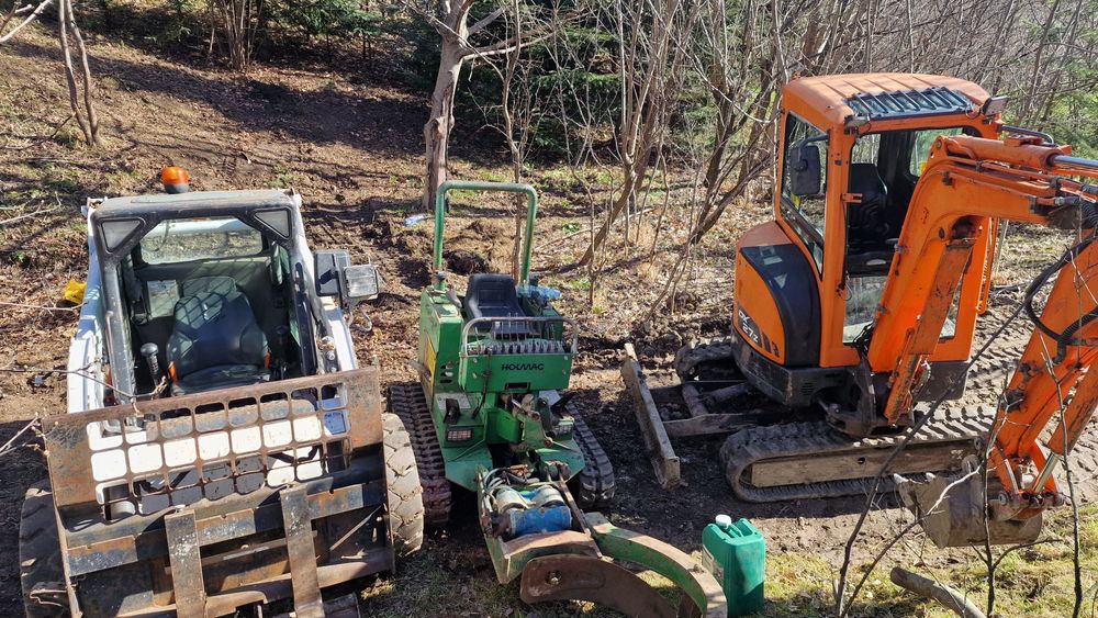 Transplantari copaci cu utilaj specializat