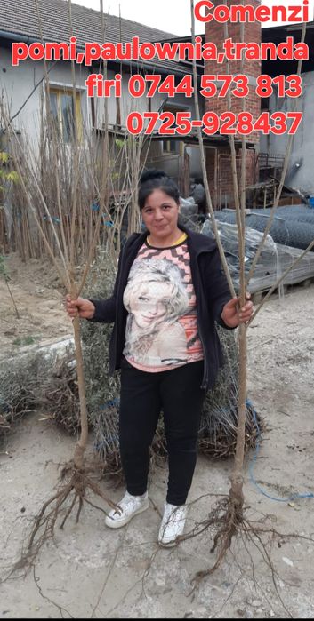 Nuci chandler.Aluni.Lemn foc.Trandafiri pom.Castan.Ciresi/Gisella.Soc.