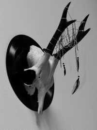 Craniu de căprioară cu dreamcatcher pe disc de vinil