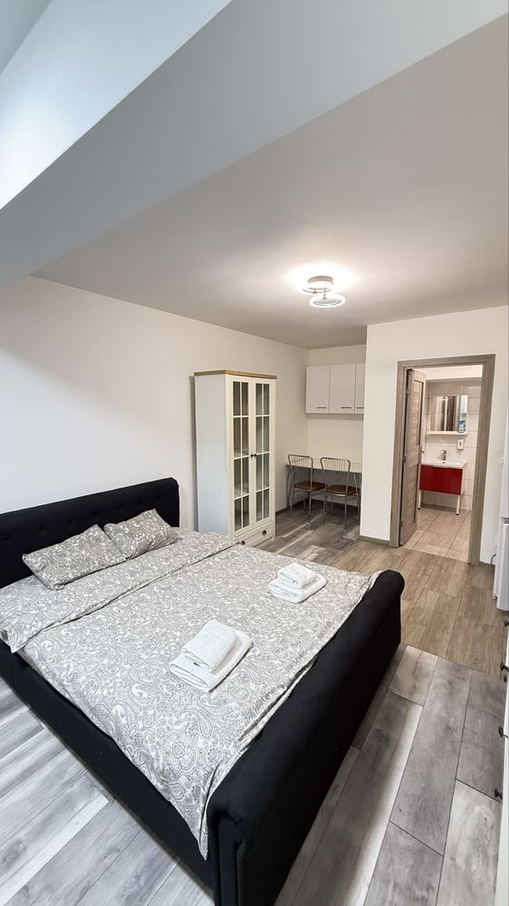 Cazare in Regim Hotelier ap1-2 cam Iasi Centru Palas