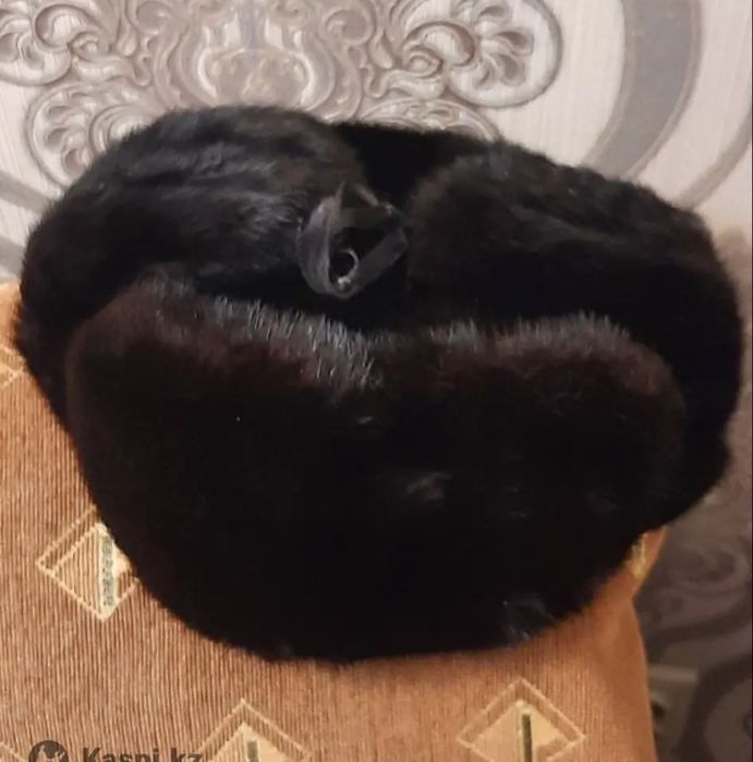 Продам мужскую норковую шапку
