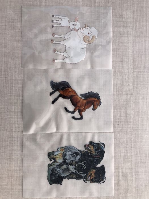 Print folie DTF personalizare