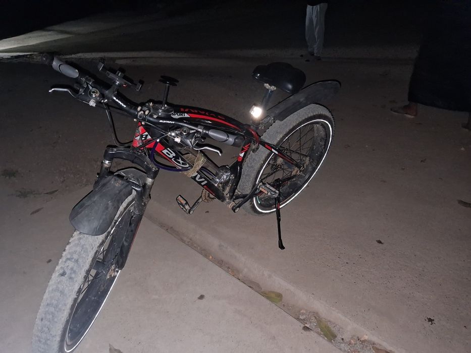 Волосепет 2020 07