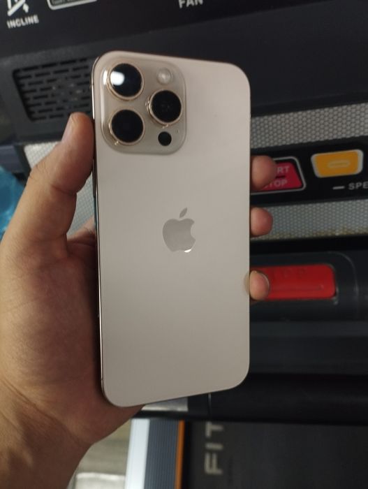iPhone 16 pro max