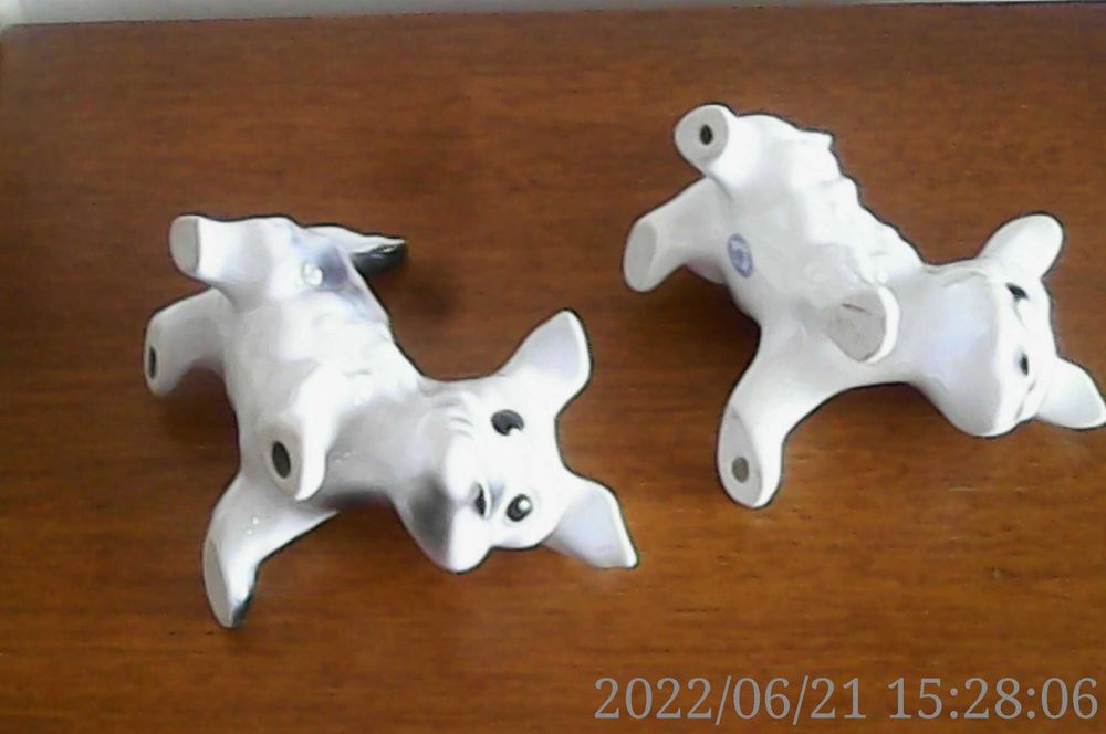 Catelusi Portelanul Alba Iulia