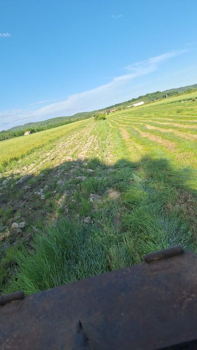 Vând baloți de fân cu iarbă de sudan!