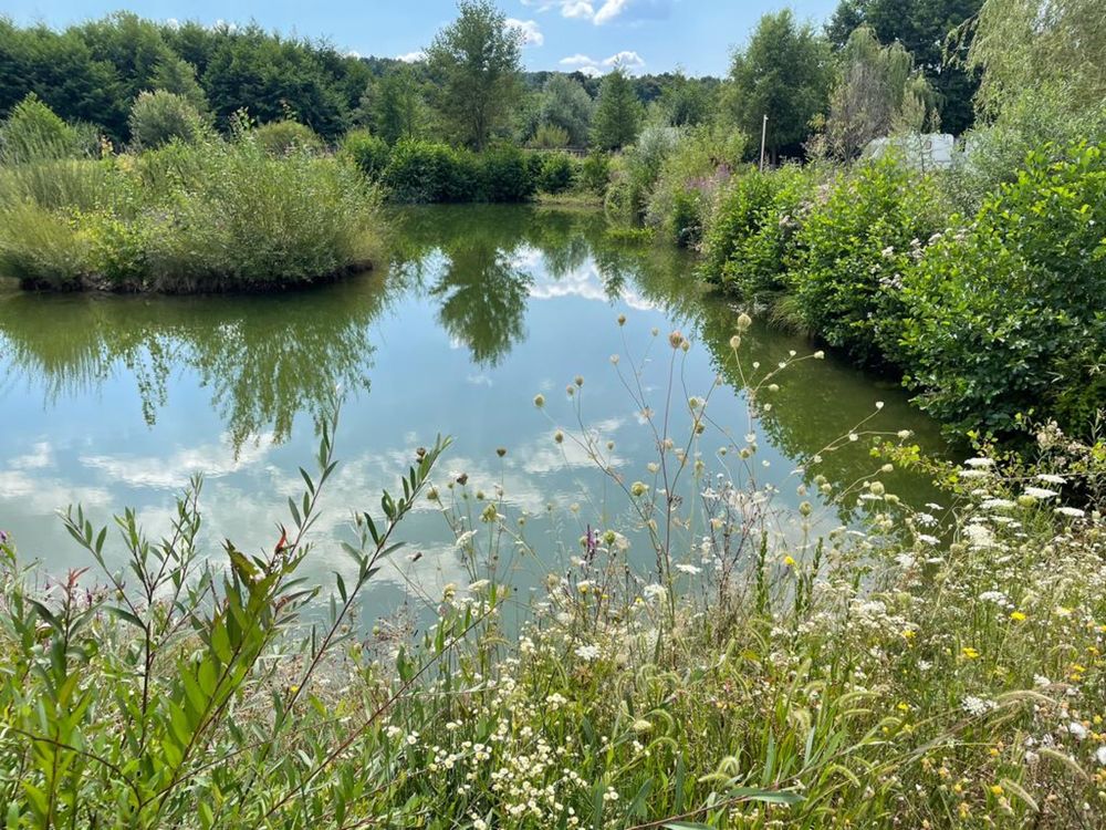 Vand lac de peste in comuna Stilpeni, jud arges