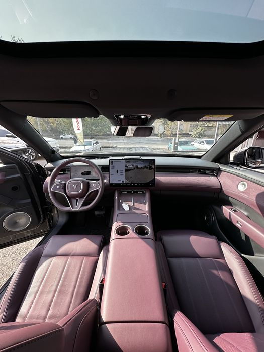 Voyah free 2025 rest full