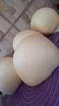 Vand branza de oi