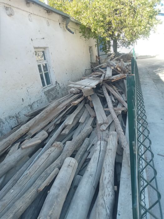 Утин черни паталок болор сотилади