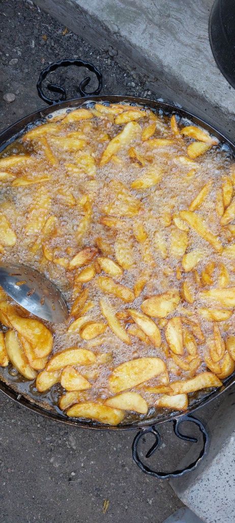 Proțap/rotisor porc,oaie,vițel,pui,rate