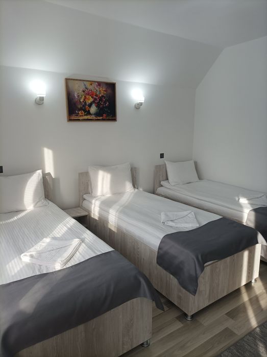 Pensiune,regim hotelier,Casa Darius