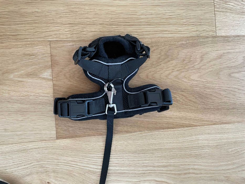 Котешка каишка Rabitgoo XS