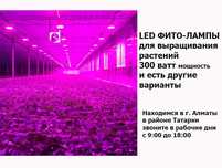 ФИТО-ЛАМПА 300 ватт (300w) светильник для растений в теплицу на ферму