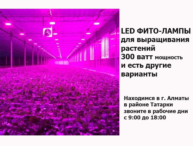 ФИТО-ЛАМПА 300 ватт (300w) светильник для растений в теплицу на ферму