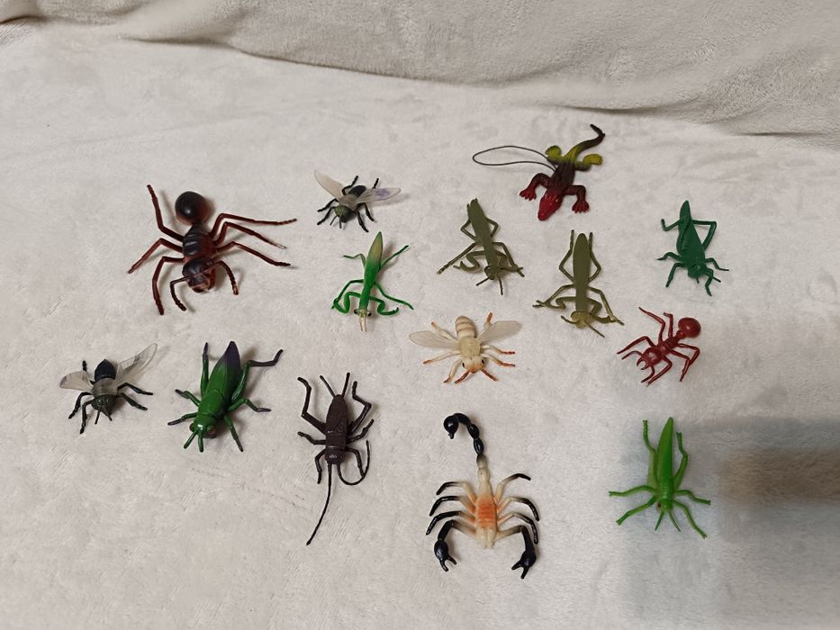 Набор.  насекомых