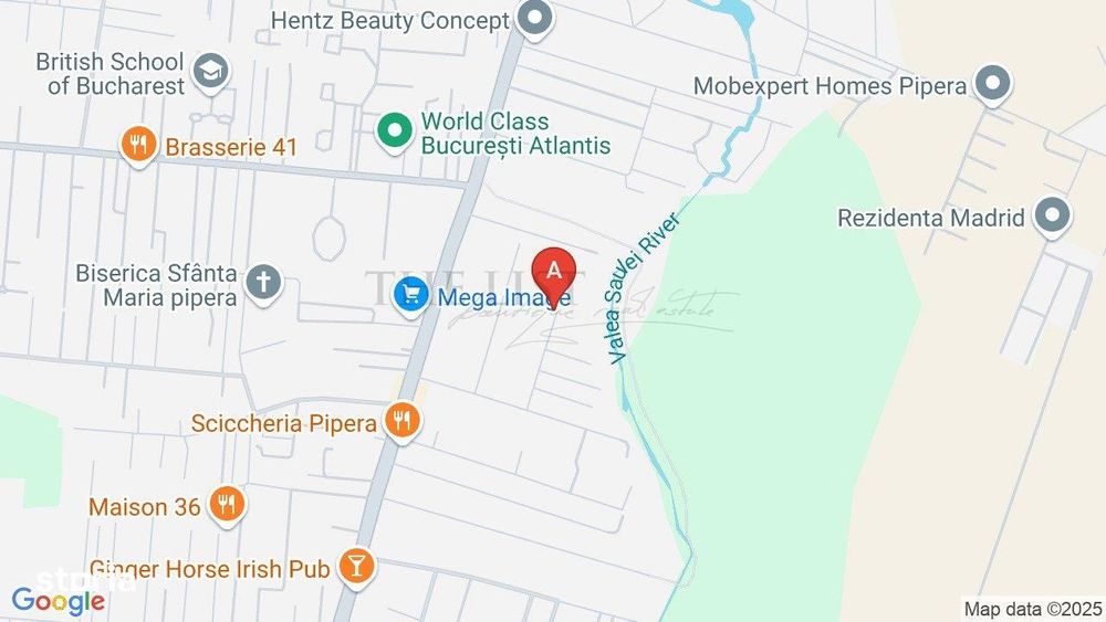 Teren Intravilan Pipera 1000 mp I strada privata