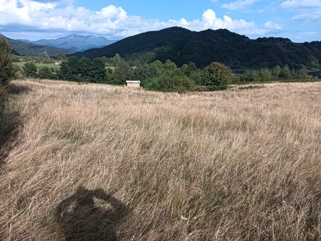 Teren Grosii Tiblesului 28 ari