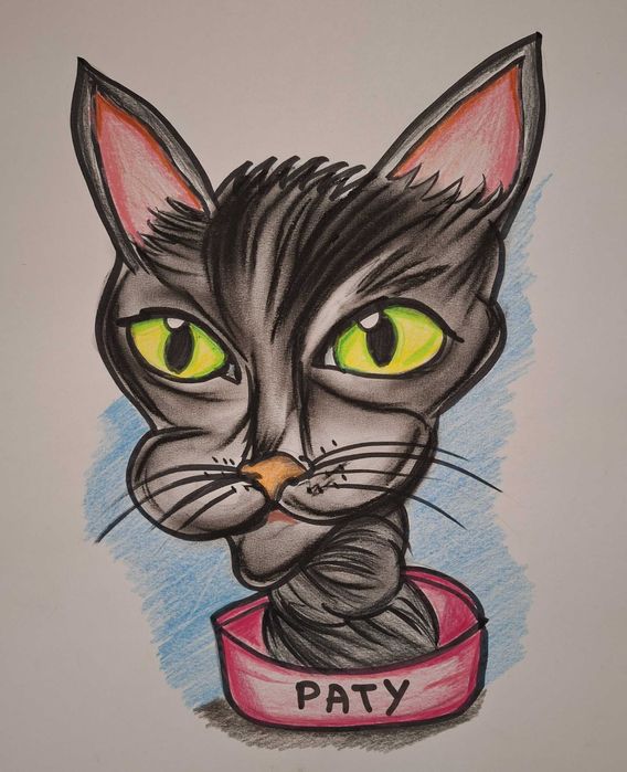 Caricaturi amuzante pentru animale