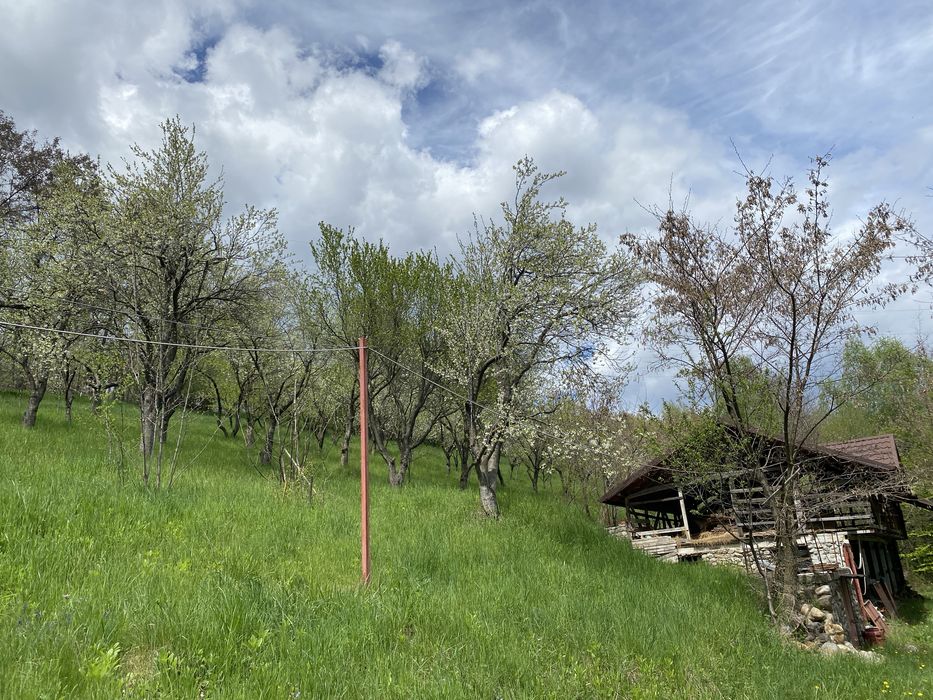 Vand ferma 1,6 ha livada pruni si faneata Valea Mare Pravat