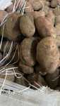 Продам картофель