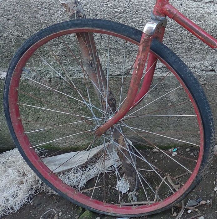Bicicleta Pegas veche