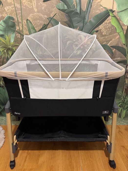 Next to me cangaroo Amo