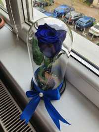 Cupola cu trandafir albastru regal