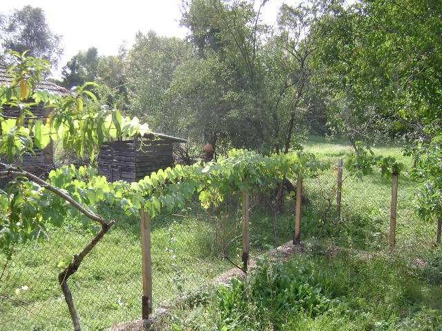 къща до река с.Водица