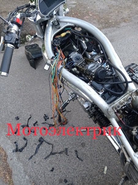 Мотоэлектрик