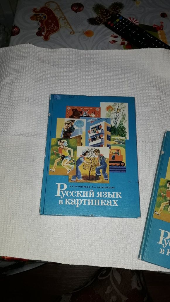 Книга Русский язык в картинках .