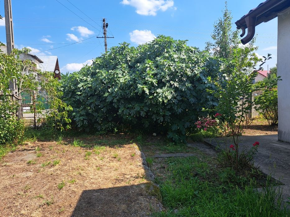 Doua case + 2100mp teren,Slatioarele, Babana, Argeș