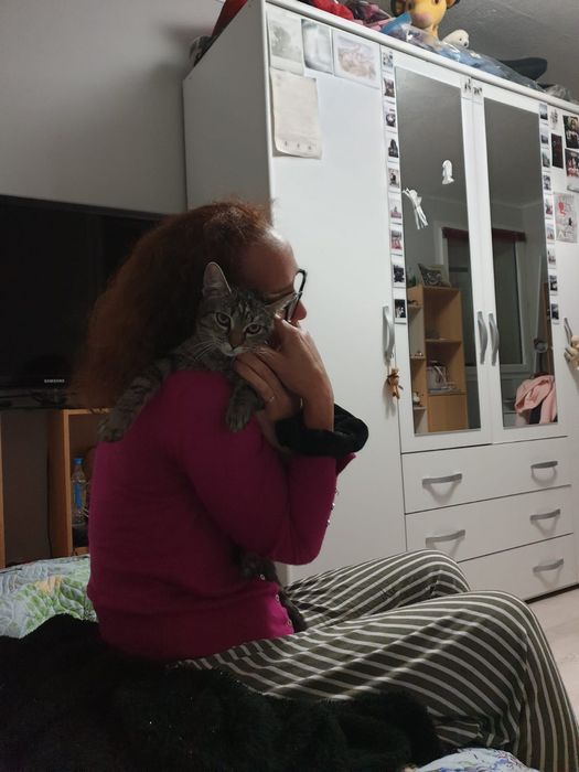 Pet-sitter / dog-sitter / cat-sitter