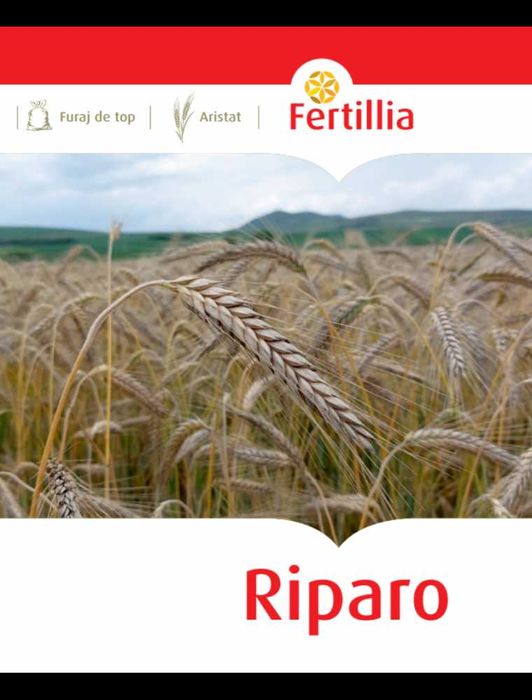 Seminte Triticale de Toamna Riparo, 30 kg, Fertillia