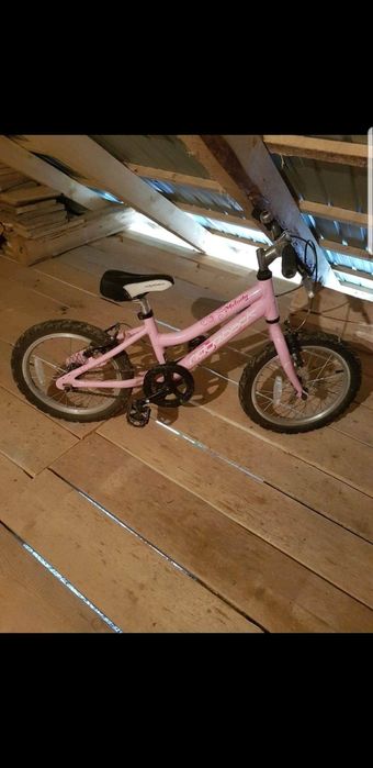 Flex și decupir erbauer