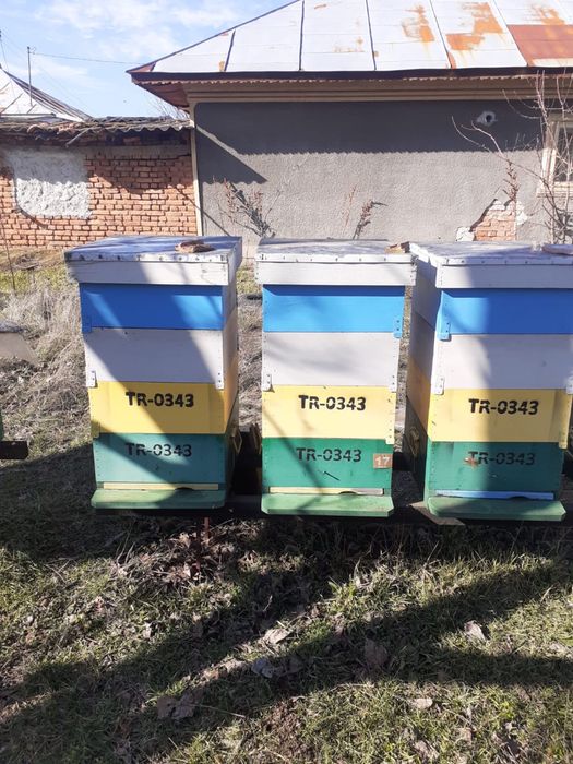 Stupi 1/2 cu fund ativaroa detasabil