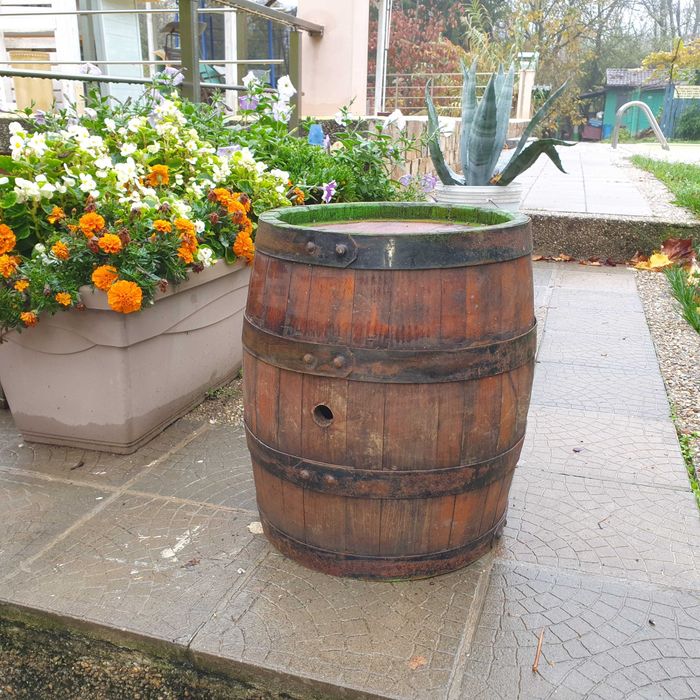 бурен;е за ракия,черничево.