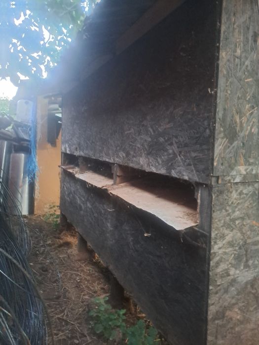 Coteț pentru iepuri