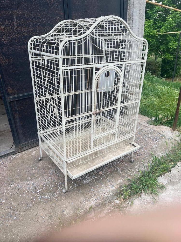 Пролается клетка для птиц