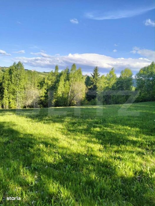 Teren extravilan 7000 mp, Rasca