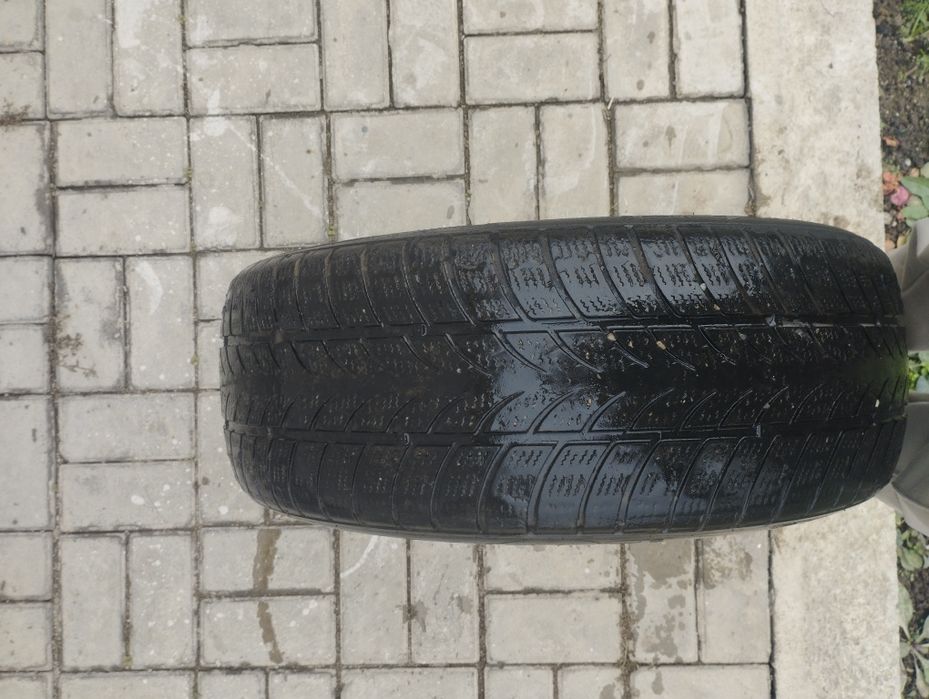 Шины Triangle зимние