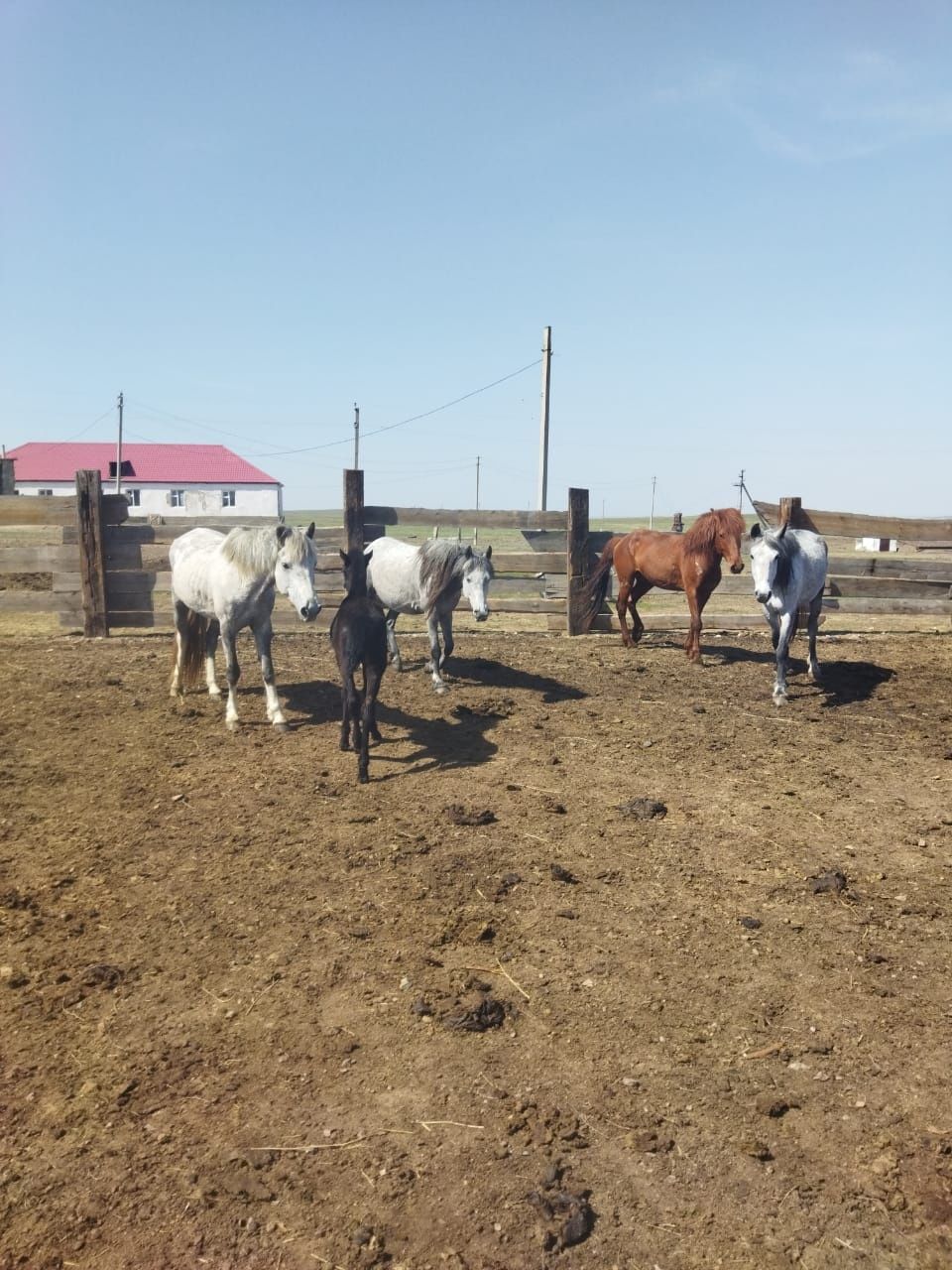 Продам ферму в Баянаульском районе, Торойгырском с/округе