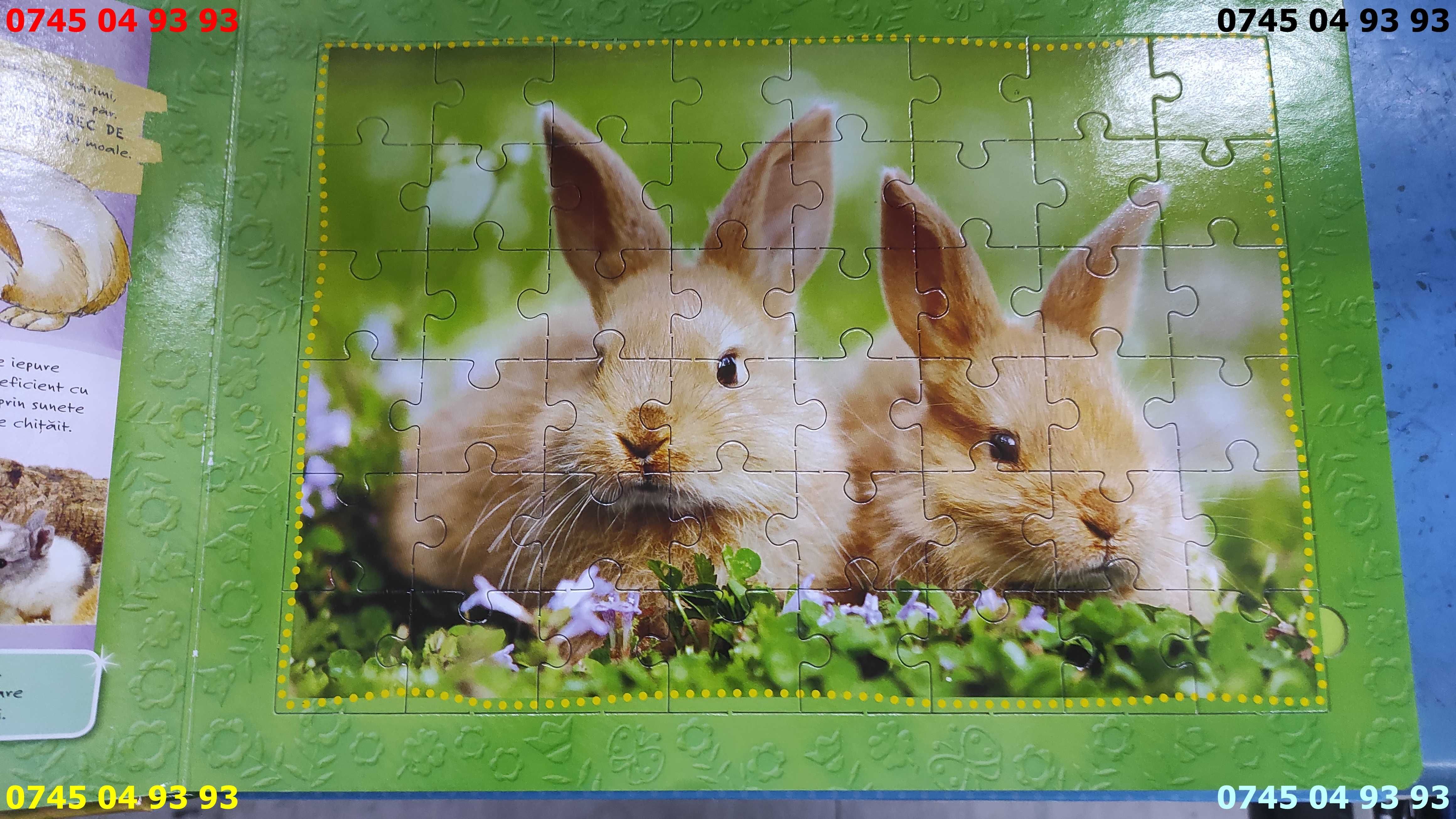 carti carte puzzle 5 puzzle arata foarte bine