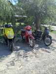 Motorete perfect functionabile