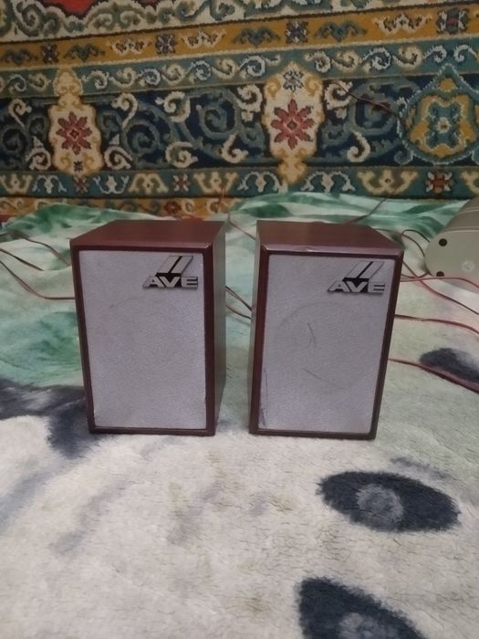 Колонки от сабвуфера.