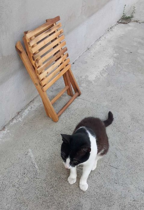 Scaun de lemn pliabil pentru copii